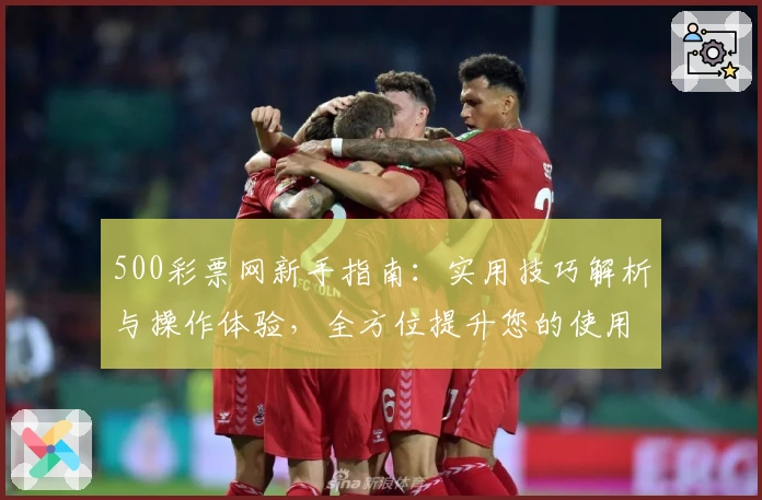 500彩票网新手指南：实用技巧解析与操作体验，全方位提升您的使用效率